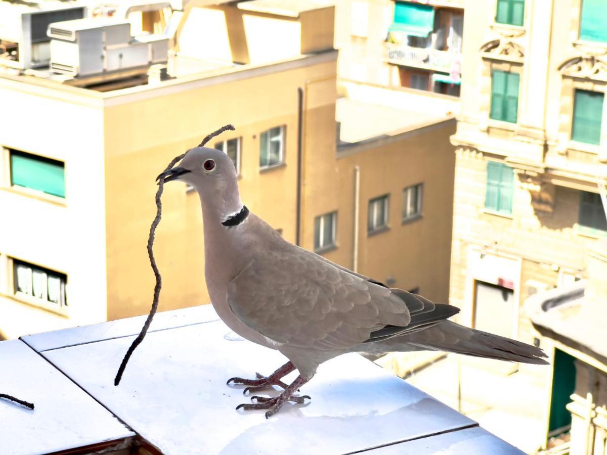 Home Sweet Home Nel Cuore Di Genova Εξωτερικό φωτογραφία